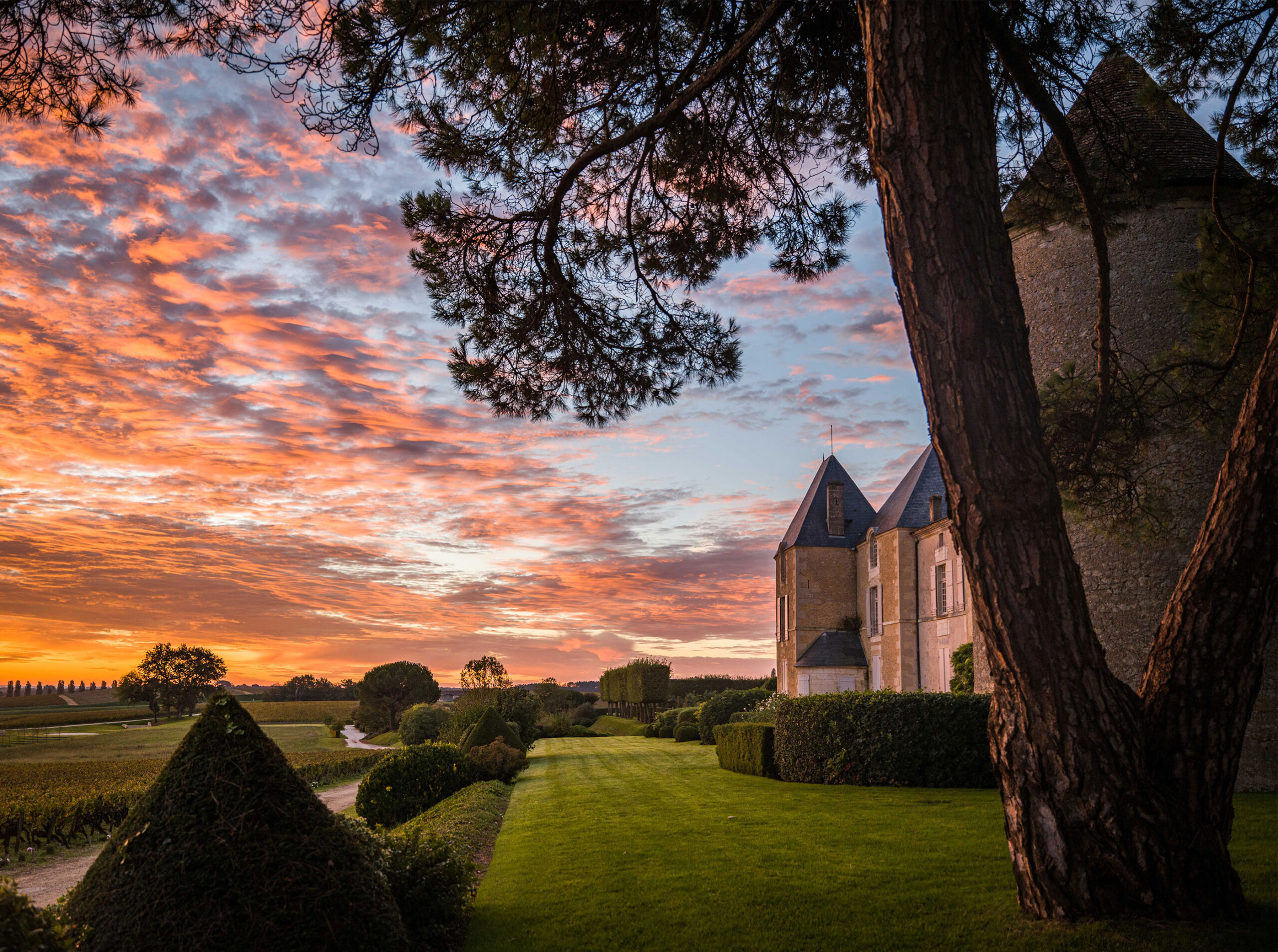 Château d’Yquem, France