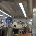 Novo Nordisk E9 Malov
