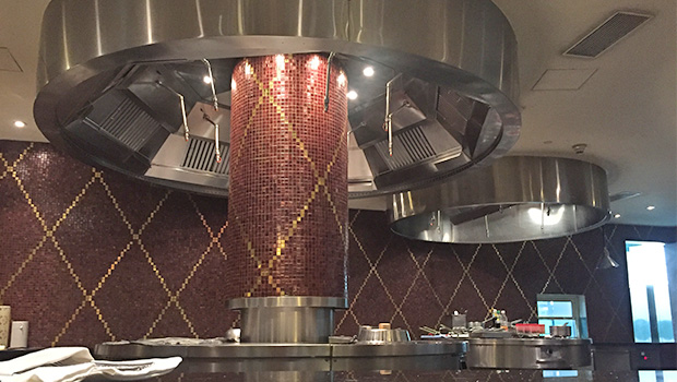 Radisson Blu New Delhi