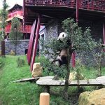 Ouwehands Dierenpark Rhenen