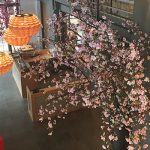 Shabu Shabu Amsterdam