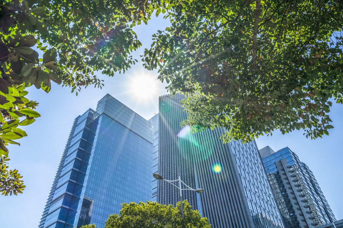 Sustainability Report - Halton