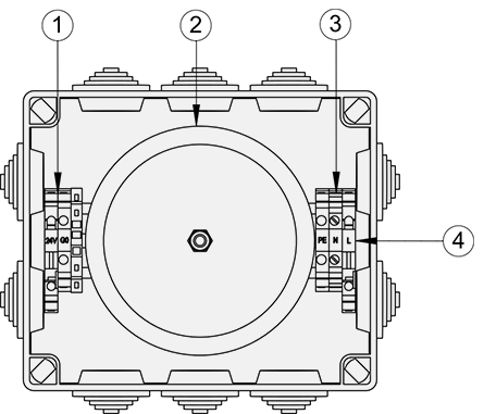 HSP_structure