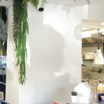 Sunside Cafe Toulouse